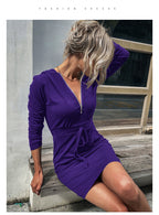 Slim‑Fit Sweater Dress – Sheath Silhouette Long Sleeve Style - Luxxella